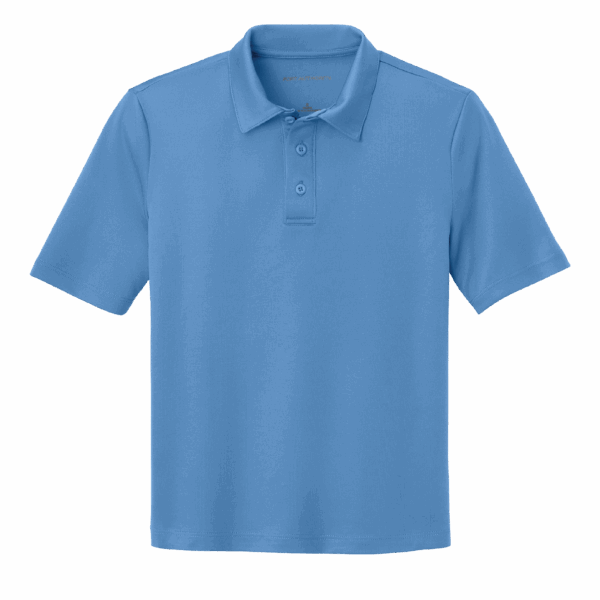 Example of a polo from Port Authority, blue in color